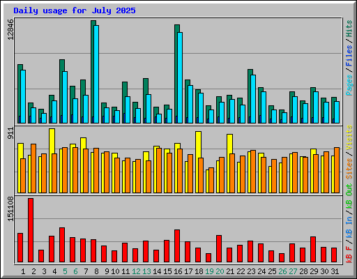 Daily usage for July 2025
