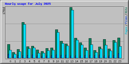 Hourly usage for July 2025