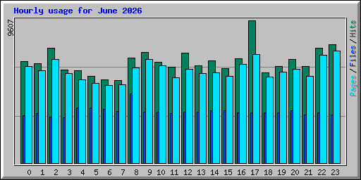 Hourly usage for June 2026