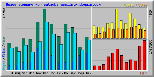 Usage summary for catawbarasslin.mydomain.com